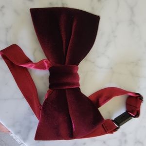 Revelry velvet bowtie